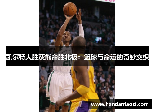凯尔特人胜灰熊命胜北极：篮球与命运的奇妙交织